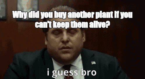 Why did you buy another plant if you can't keep them alive? - I Guess Bro Meme GIF