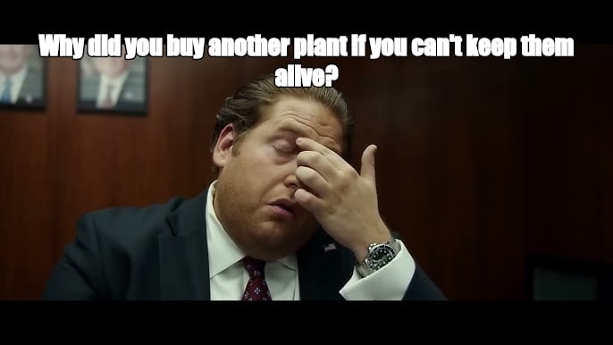 Why did you buy another plant if you can't keep them alive? - I Guess Bro Meme